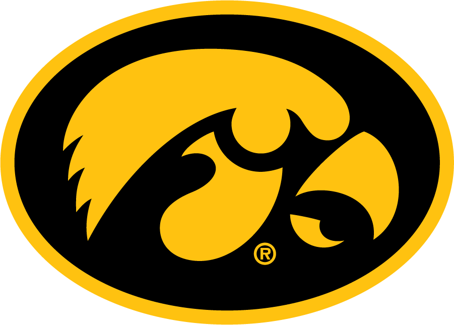 Iowa Hawkeyes 1993-Pres Alternate Logo v2 diy iron on heat transfer